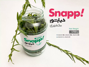 خیارشور تخمیری ( 670 گرم )