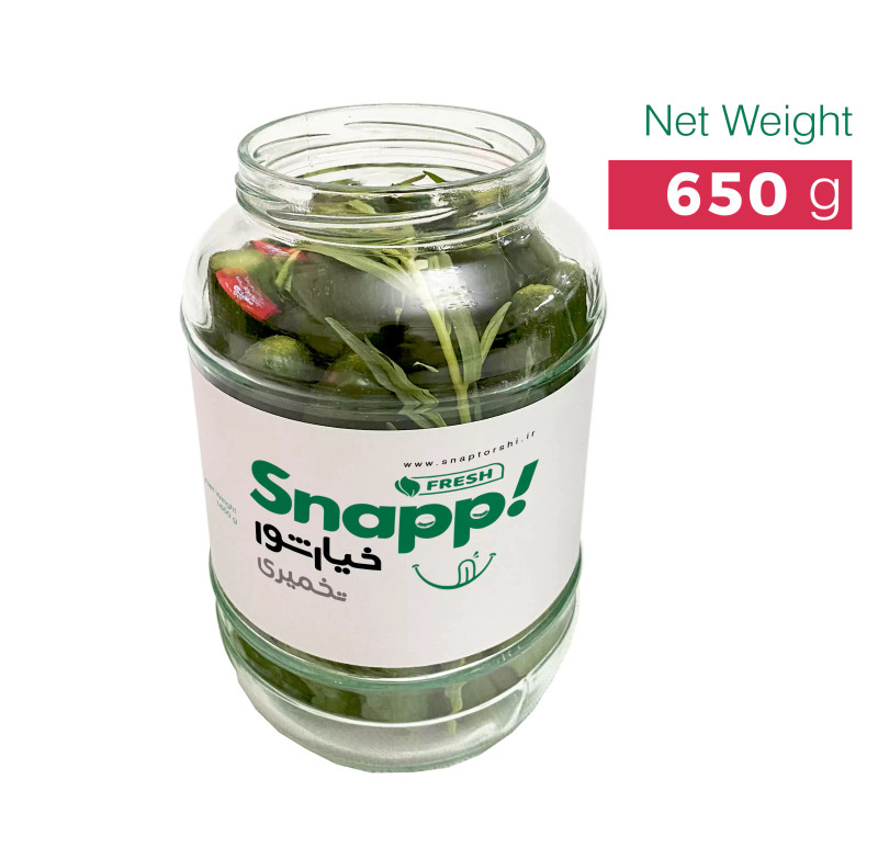 خیارشور تخمیری ( 670 گرم )