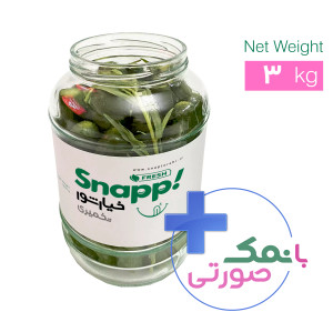 خیارشور تخمیری ( سه کیلویی )